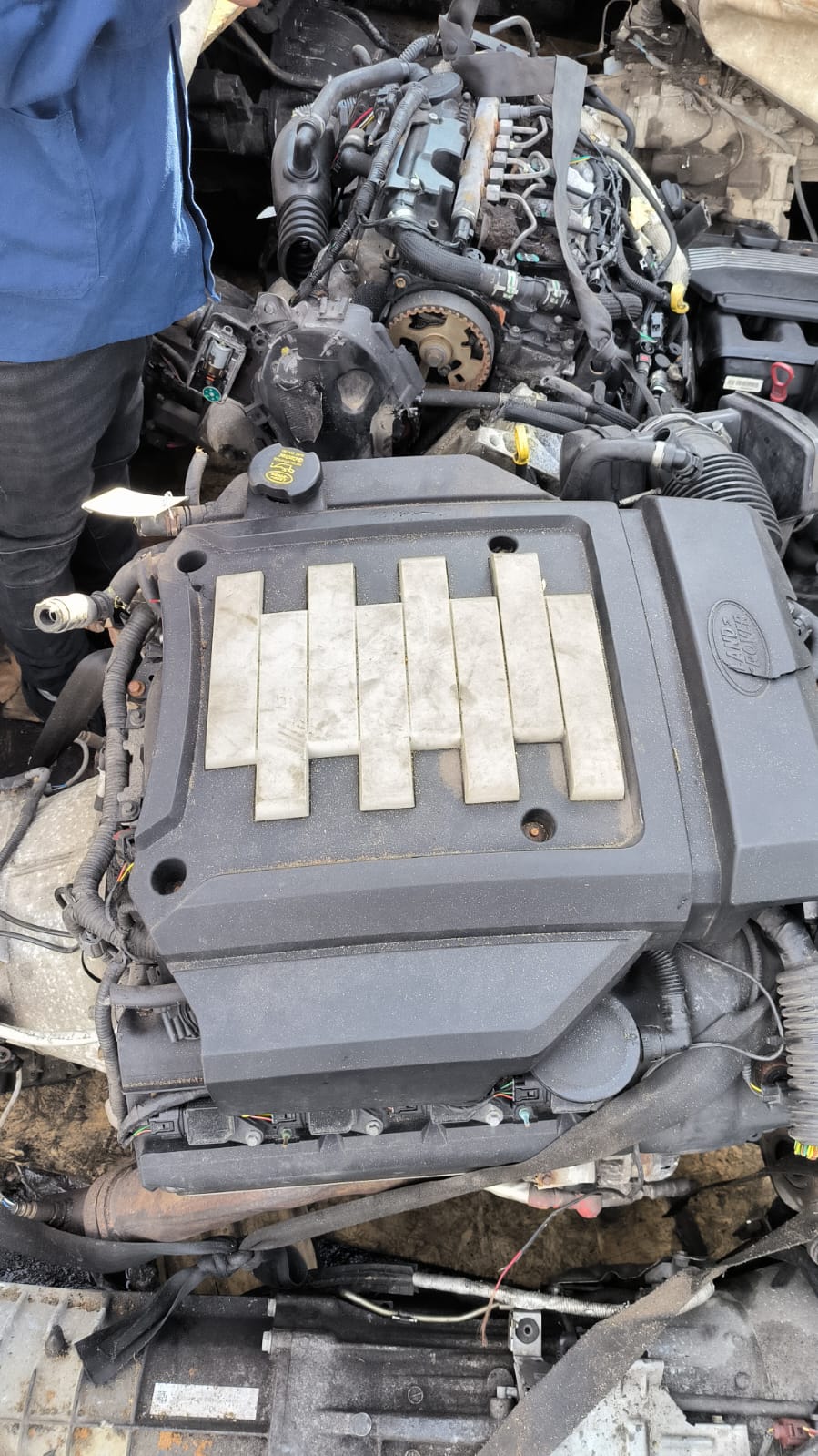 Landrover Range Rover 448PN (LMS8) engine