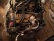 BMW B48B20A Engine