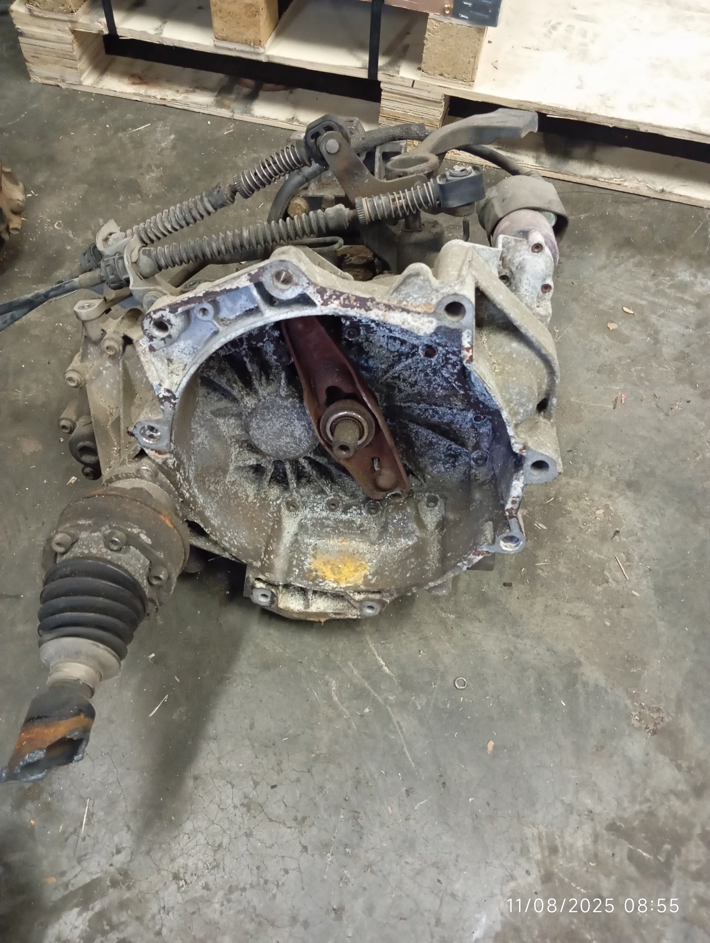 VOLKSWAGEN BLF GEARBOX