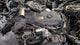 Isuzu 4HK1 IC engine