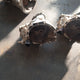Ford rocam build over manual gearbox