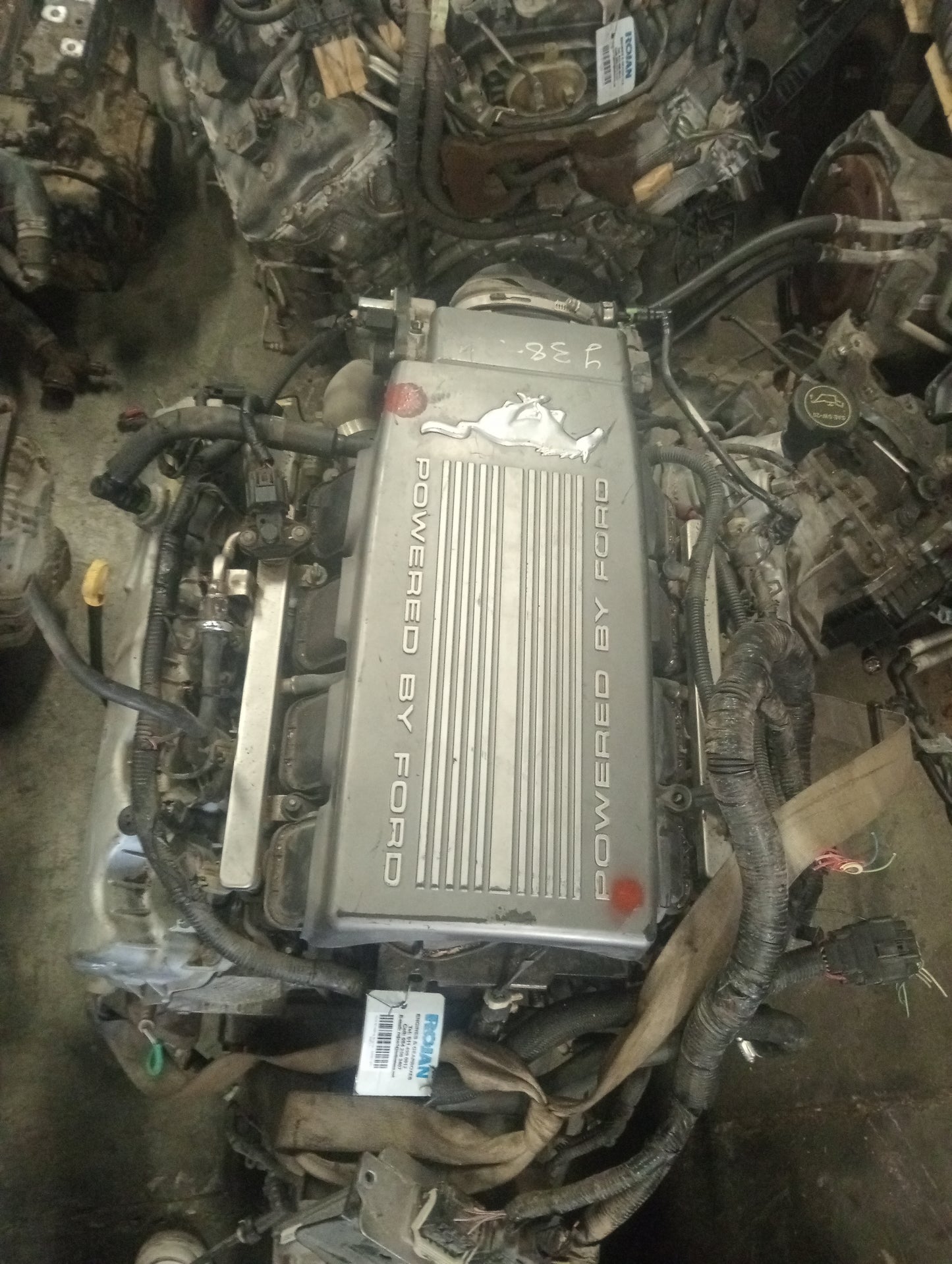 Ford Mustang Engine