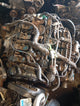 Volkswagen DAJ Engine