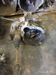 Hyundai Kia G4HG Gearbox