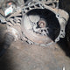 VOLKSWAGEN 1.9 TDI ASZ 6 SPEED MANUAL GEARBOX